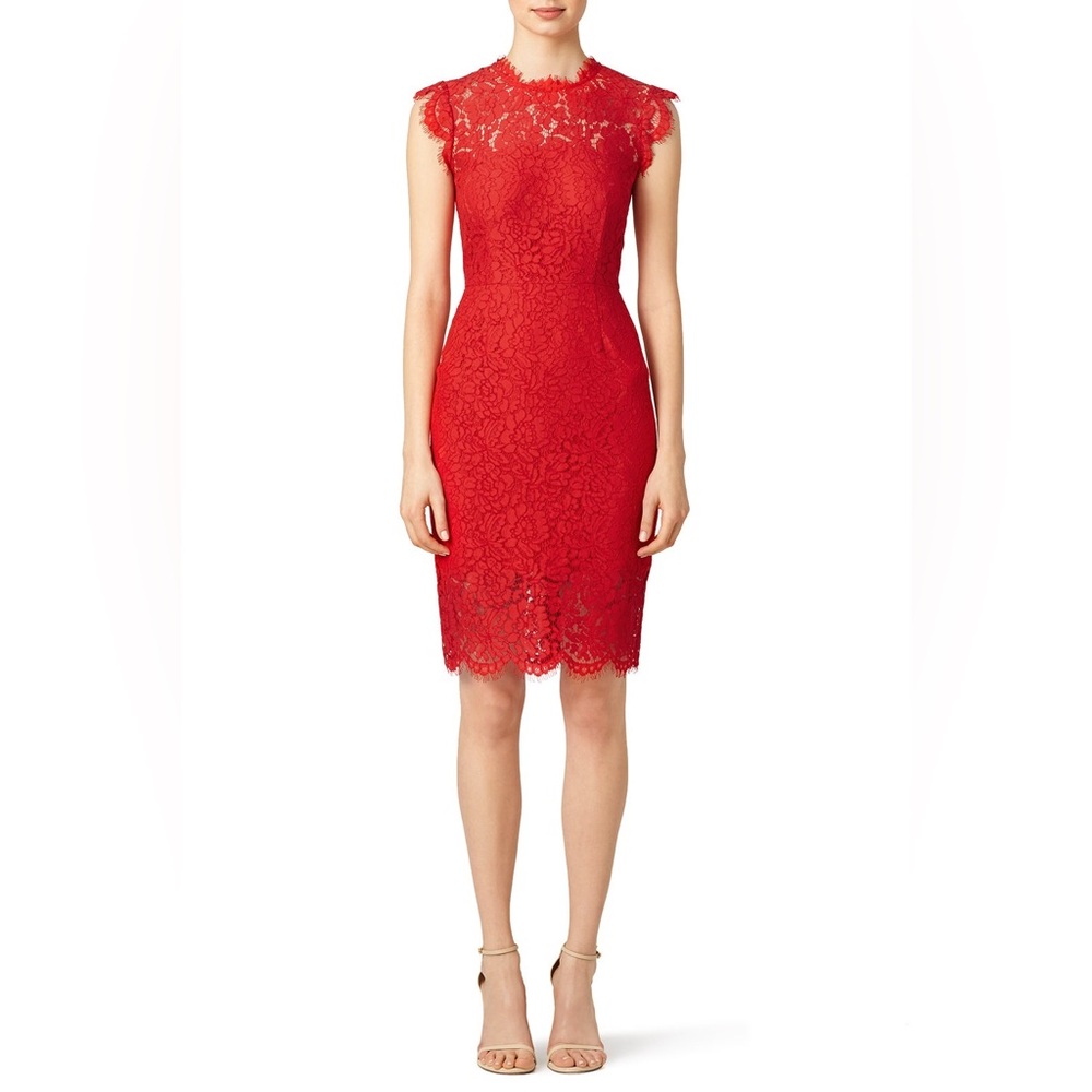 Rachel Zoe Rouge Suzette Lace Dress Size 10 in perfect condition doesn’t fit
